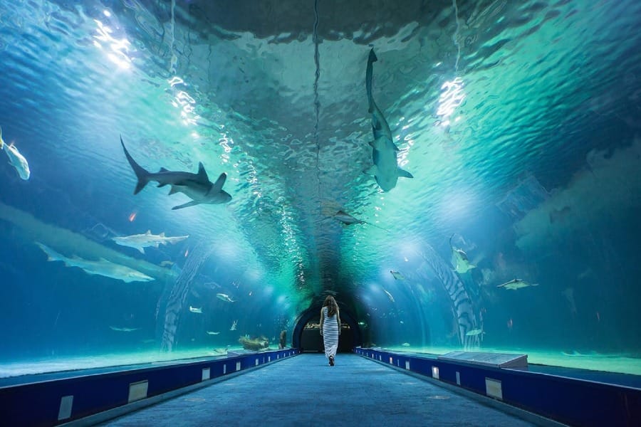 Foto do Oceanogràfic | Cidade das Artes e Ciências, em Valência, na Espanha.