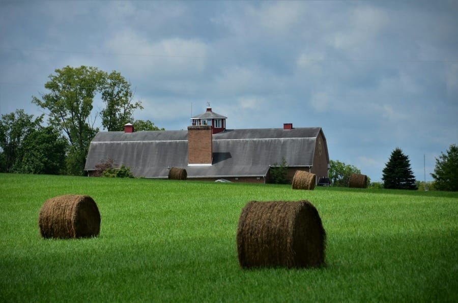 Avaliação de Imóveis: Imóveis Rurais